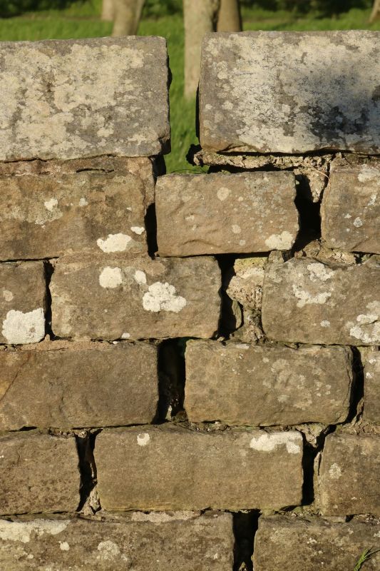 Stone Wall Repair in Burlington, WA